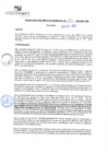 Vista preliminar de documento rgm20556