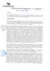 Vista preliminar de documento rgm20567
