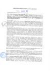 Vista preliminar de documento rgm20571
