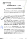 Vista preliminar de documento rgm20575