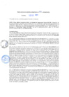 Vista preliminar de documento rgm20581