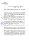 Vista preliminar de documento rgm20591