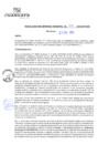 Vista preliminar de documento rgm20597