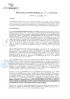 Vista preliminar de documento rgm21006
