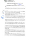 Vista preliminar de documento rgm21009