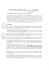 Vista preliminar de documento rgm21010