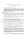 Vista preliminar de documento rgm20398