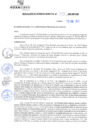 Vista preliminar de documento rgm21023