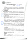 Vista preliminar de documento rgm21021