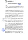 Vista preliminar de documento rgm21022