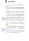 Vista preliminar de documento rgm21033