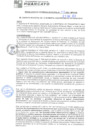 Vista preliminar de documento rgm21043