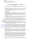 Vista preliminar de documento rgm21056