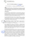 Vista preliminar de documento rgm21055