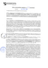 Vista preliminar de documento rgm21059