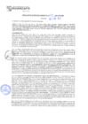 Vista preliminar de documento rgm21060