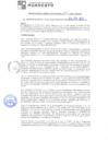 Vista preliminar de documento rgm21065