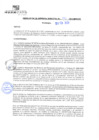 Vista preliminar de documento rgm21072