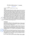 Vista preliminar de documento rgm21073