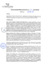 Vista preliminar de documento rgm21075
