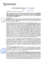 Vista preliminar de documento rgm21087