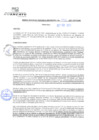 Vista preliminar de documento rgm21093