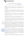 Vista preliminar de documento rgm21067