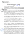 Vista preliminar de documento rgm21047