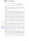 Vista preliminar de documento rgm21066