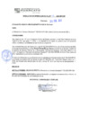Vista preliminar de documento rgm21110