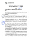 Vista preliminar de documento rgm21109