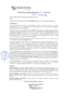 Vista preliminar de documento rgm21112