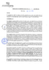 Vista preliminar de documento rgm21115