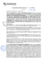 Vista preliminar de documento rgm21119