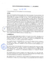 Vista preliminar de documento rgm21121