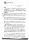 Vista preliminar de documento rgm21124