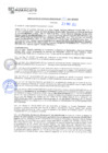 Vista preliminar de documento rgm21132