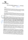 Vista preliminar de documento rgm21138