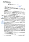 Vista preliminar de documento rgm21139