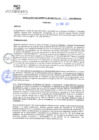 Vista preliminar de documento rgm21137