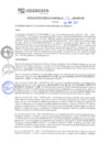 Vista preliminar de documento rgm21141