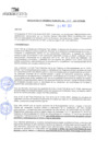 Vista preliminar de documento rgm21147