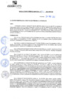 Vista preliminar de documento rgm21156