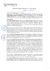 Vista preliminar de documento rgm21159
