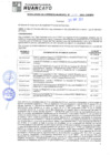 Vista preliminar de documento rgm21157