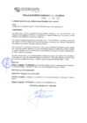Vista preliminar de documento rgm21160