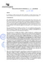 Vista preliminar de documento rgm21161