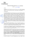 Vista preliminar de documento rgm21162