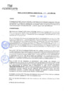 Vista preliminar de documento rgm21165