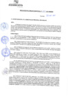 Vista preliminar de documento rgm21169
